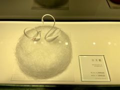 白天鹅-BLACKSWAN黑天鹅(环球店)