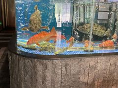 水产区-荣轩(新荣记环球金融中心店)