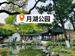 -月湖公园