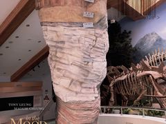 -延庆地质公园博物馆