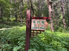 -帽儿山国家森林公园