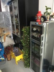 -巴黎Paris baby儿童摄影(宝山万达店)