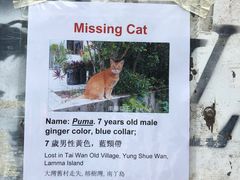 -南丫岛