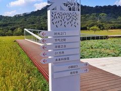 -风云岭森林公园