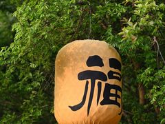-紫阳古街