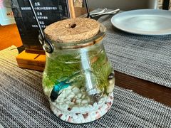 -卡普里披萨·牛扒·下午茶
