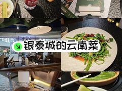-一善菌·云南菌汤·云南菜(银泰城店)