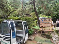 -苍山感通索道