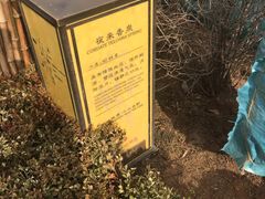 -大连金石滩绿发温泉假日酒店