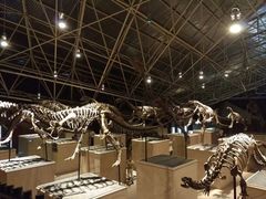 -世界恐龙谷景区