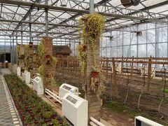 -陆地游轮吉林神农温泉