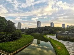 -百林公园-两江幸福广场