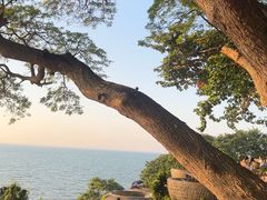 -网红落日悬崖餐厅 The Sky Gallery