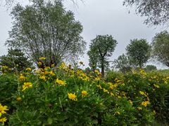 -汉长安城未央宫国家考古遗址公园