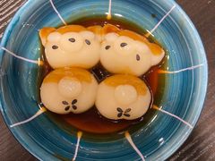 -逗柴咖啡屋·狗咖猫咖宠物桌游