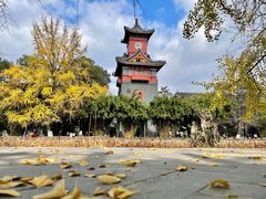 -四川大学(华西校区)