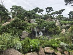 -罗红摄影艺术馆