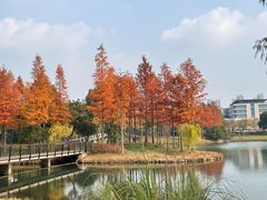 -尚贤河湿地