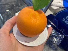 -TD66高山铁皮石斛养生茶饮