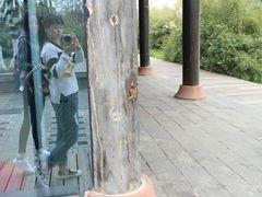 -白鹭湾湿地公园