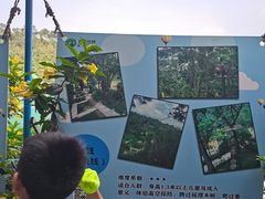 -芦仙山景区-飞越丛林探险乐园