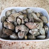 花甲剥壳放入其中就可以蘸着吃了~很清爽
