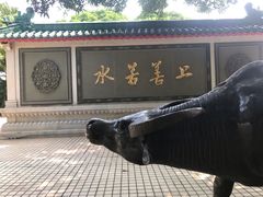 -广东圆玄道观