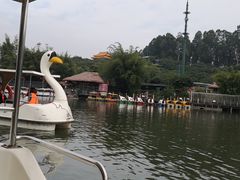 -观澜山水田园