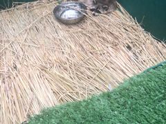 -芒果爆爆(东海缤纷店)