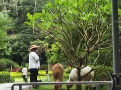 -南宁荔园维景国际酒店·荔园中餐厅