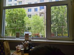 -伊帆食府·青海地方特色美食