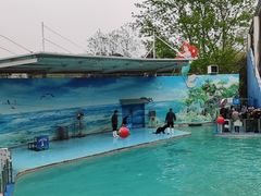 -西安秦岭野生动物园