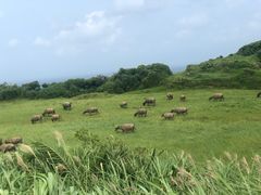 -鹅銮鼻公园