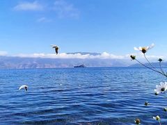 -丽江泸沽湖景区