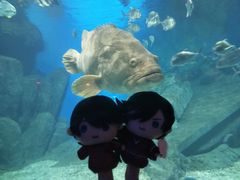 -福州罗源湾海洋世界旅游区