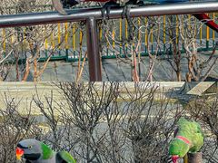 -水上乐园·欢乐世界