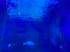 -常州海昌海洋探索馆