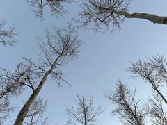 -坝河休闲公园