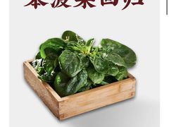 -芝小官毛肚火锅海鲜自助(淮安清江浦区新亚店)
