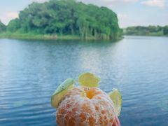 -上海市保健医疗中心