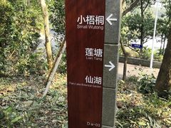 -梧桐山风景名胜区