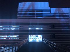 -上海海昌海洋公园-停车场