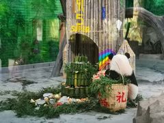-灵玲国际马戏城