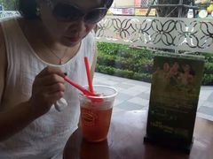 -Rainforest
