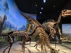 -呼和浩特博物馆
