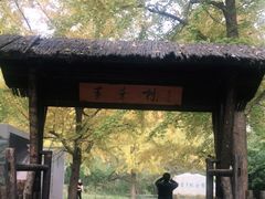 -红楼梦邮局