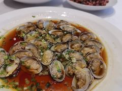 葱姜炒花蛤-红城阁·上海味道(四平路店)