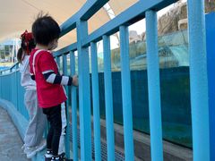 -芜湖新华联大白鲸海洋公园