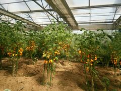 -兰陵国家农业公园