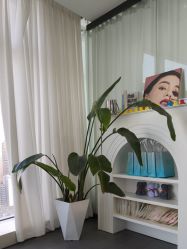 -张小野·专业半永久纹眉
